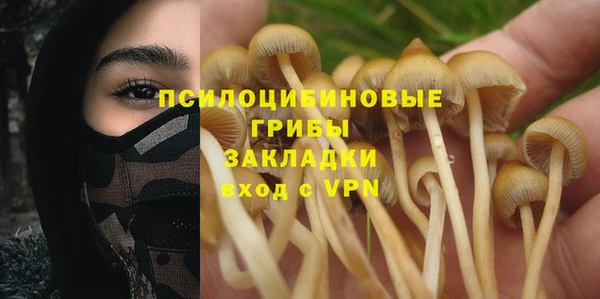 тгк Сосновоборск