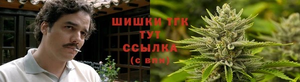 тгк Сосновоборск