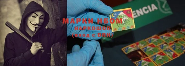 Альфа ПВП Сосновый Бор
