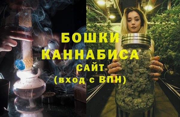 Альфа ПВП Сосновый Бор