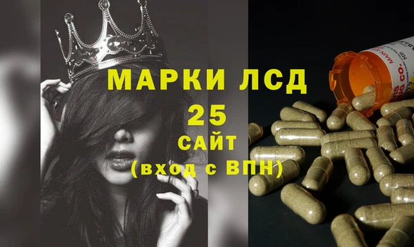Альфа ПВП Сосновый Бор