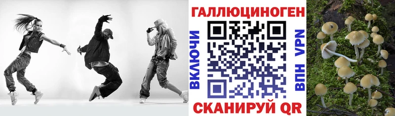 наркошоп Тихорецк Псилоцибиновые грибы мицелий