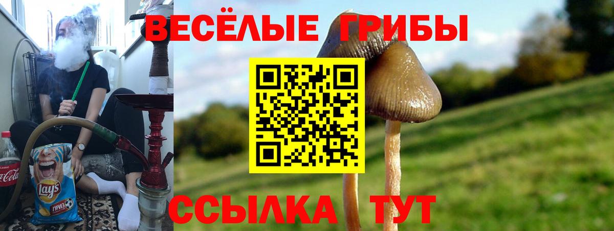 Псилоцибиновые грибы Magic Shrooms Тихорецк